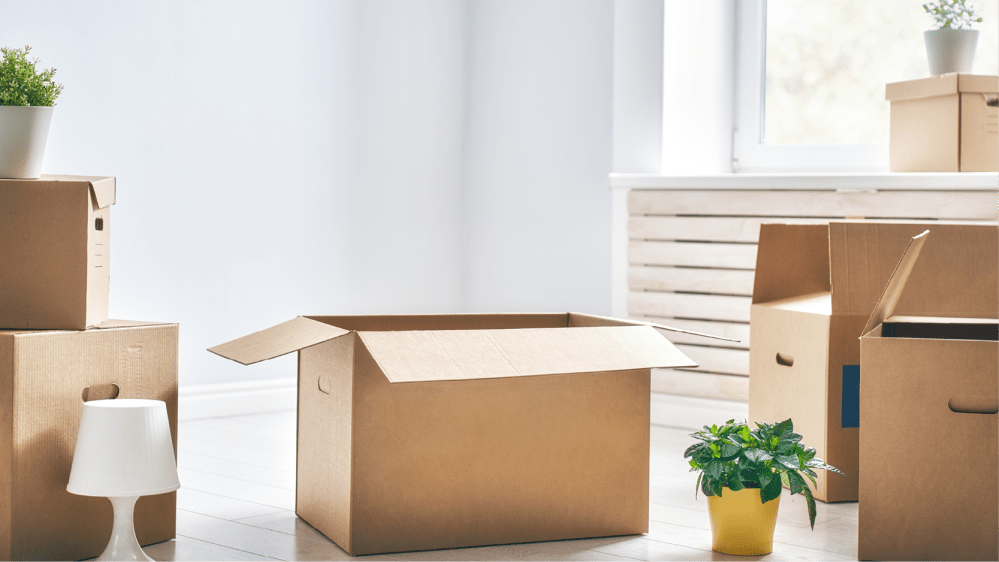 DE_Blog_OctoberFAQ_2018_2