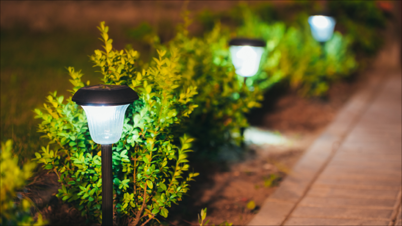 DE_Blog_GardenTips_Feb2019_4