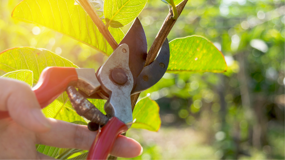 March2019_HomeStylingForAutumn_2