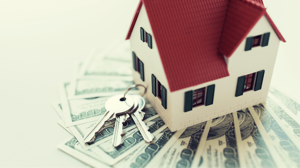 DE_Blog_September_2019_2