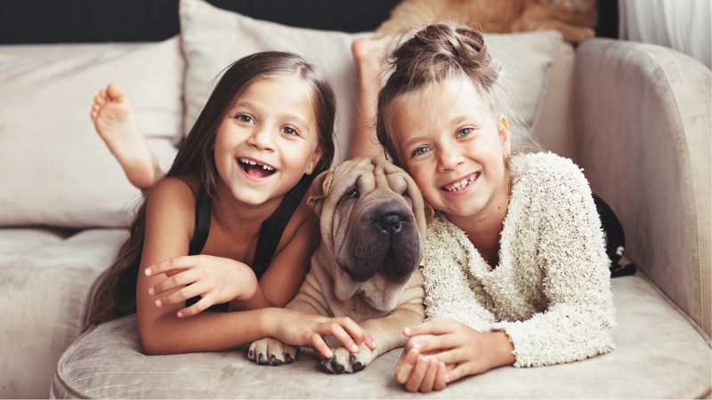 When is the right time to buy in this market? When is the right time to buy in this market?