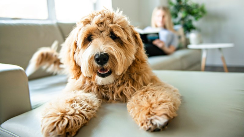 Home Styling Trends in&nbsp;2024