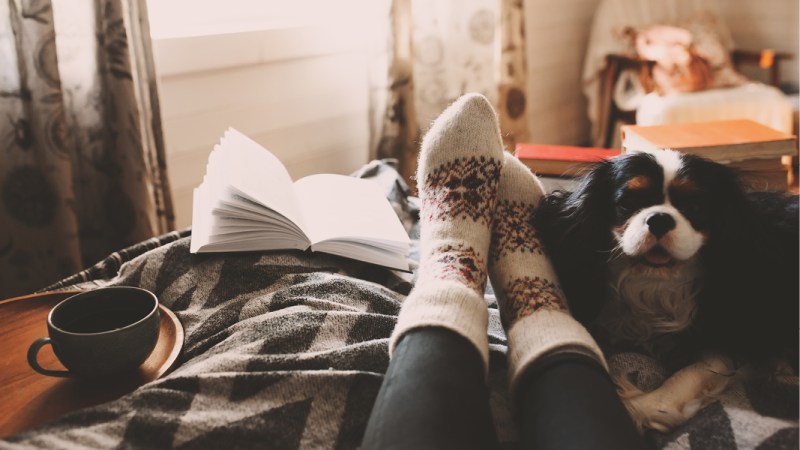 4 Simple Ways to Maintain Your Home’s Health this&nbsp;Winter