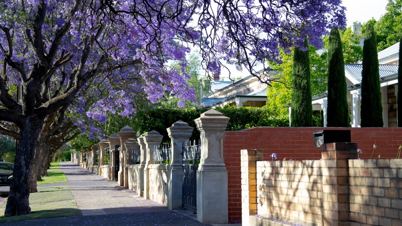 John McGrath – Seasonal lift in listings as Spring begins John McGrath – Seasonal lift in listings as Spring begins