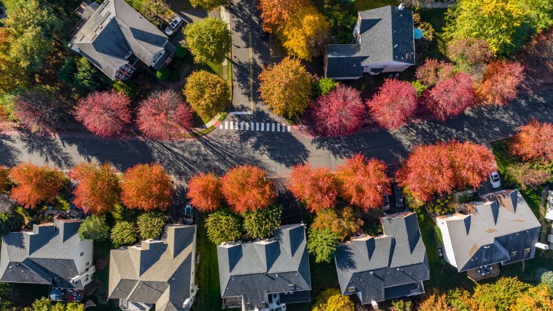 Autumn Market Insights and What Buyers & Sellers Need to Know This&nbsp;Season