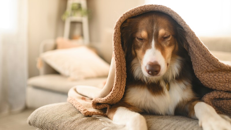 Autumn Entertaining at&nbsp;Home