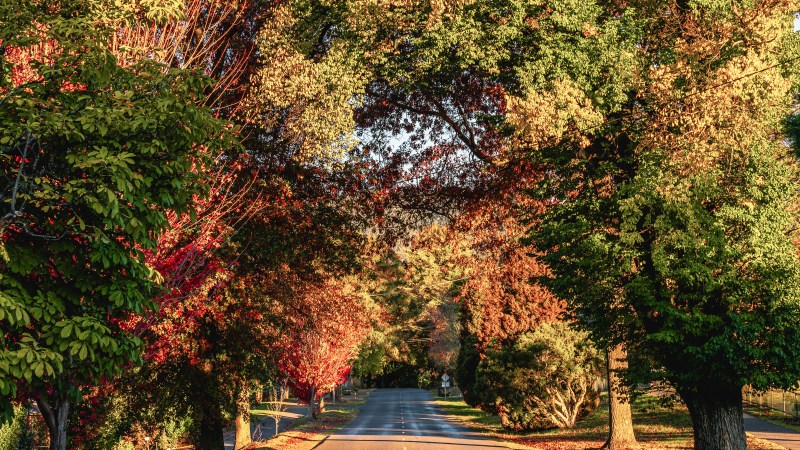 Is Autumn the Right Time to Sell? Is Autumn the Right Time to Sell?